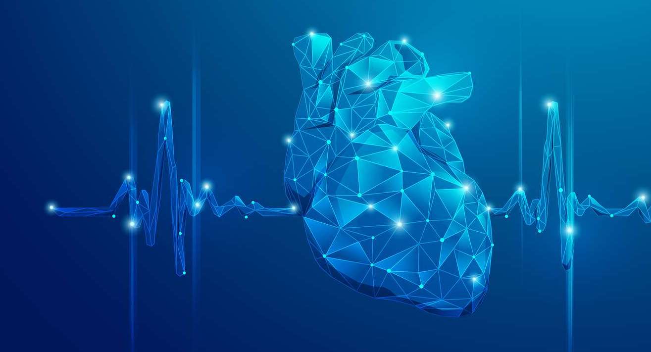 Cardiologist Doctor Examine Patient Heart Functions And Blood Vessel On  Virtual Interface. Medical Technology And Healthcare. Generative Ai. | The  Organ Donation and Transplantation Alliance